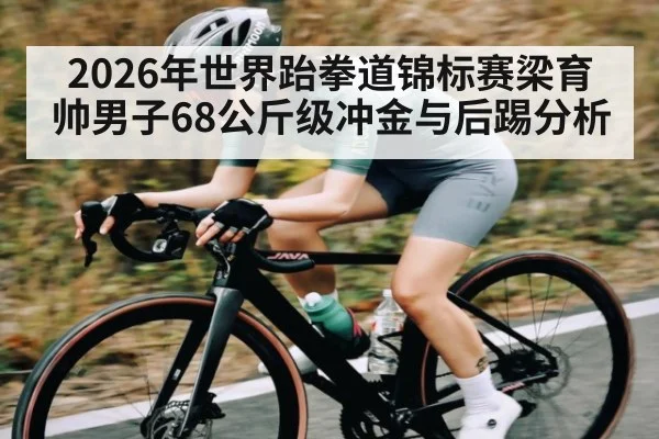 2026年世界跆拳道锦标赛梁育帅男子68公斤级冲金与后踢分析
